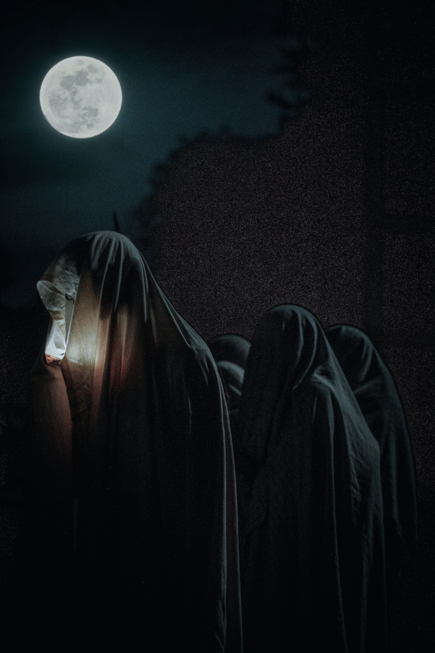 Encounters with entities in altered states of consciousness, UFO experiences, and mystery school rituals reveal a recurring initiation pattern suggesting consciousness operates as a self-transforming, self-knowing process.