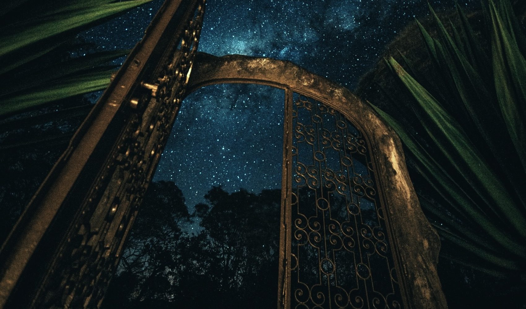 DMT may act like a kind of biological key, a mechanism through which consciousness can temporarily shift its point of access within the holographic structure of reality. The worlds encountered in these states are thus not necessarily imaginary, instead being domains of reality that coexist with our own but remain hidden behind the narrow frequency band of ordinary perception.